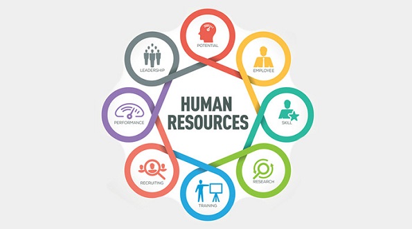 Seluk Beluk Human Resources Departement